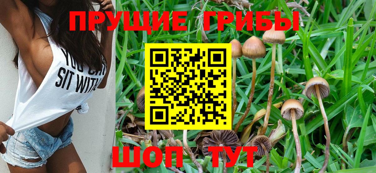 ГАШИШ  Прохладный  Лсд 25  НБОМе  Вход с VPN  Кокаин  Меф МЯУ МЯУ кристаллы  COCAIN 