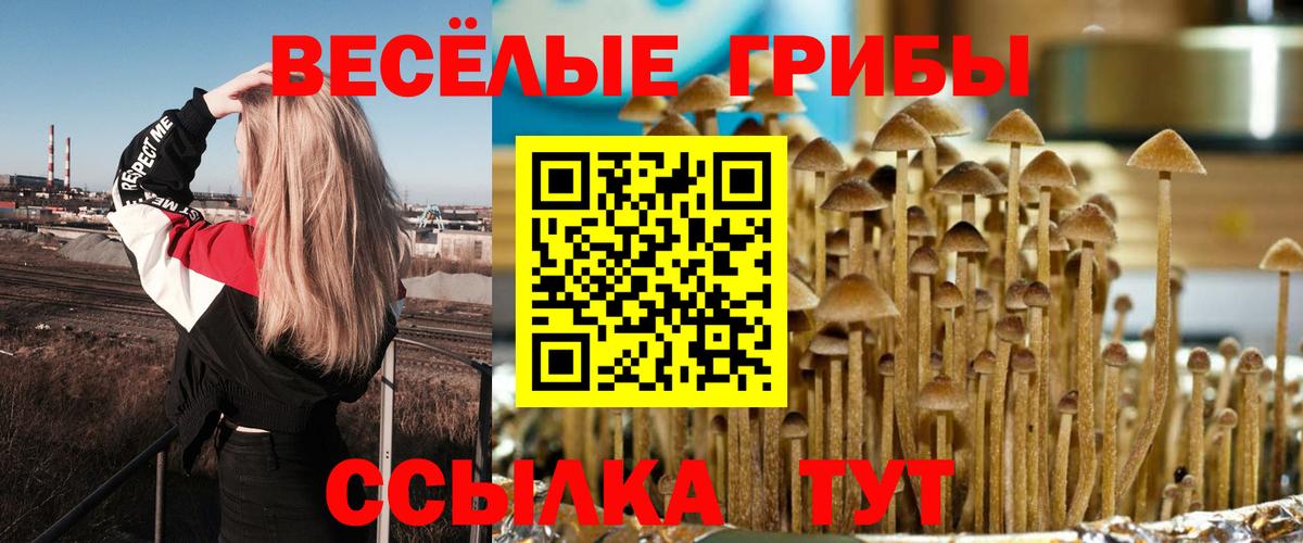 Галлюциногенные грибы Magic Shrooms Прохладный