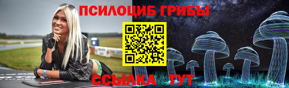 Прохладный  Псилоцибиновые грибы MAGIC MUSHROOMS  Вход с VPN  Галлюциногенные грибы Psilocybe 